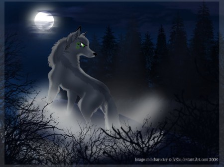 dark_wolf_by_ivsha.jpg